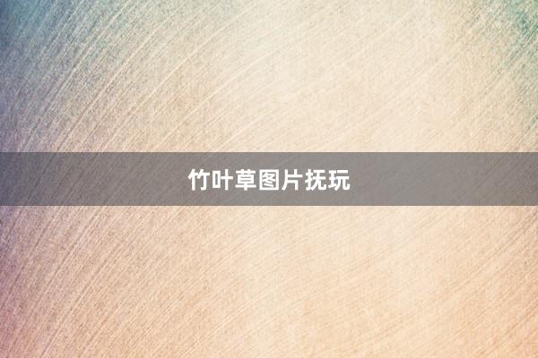 竹叶草图片抚玩