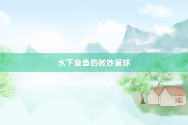水下章鱼的微妙寰球